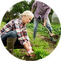 Two older adults are gardening together in a field, one weeding by hand and the other digging with a shovel.