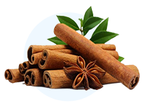 A pile of cinnamon sticks, one star anise, and some green leaves on a green background.