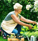 An older woman wearing an apron kneels in a garden, tending to white flowers.