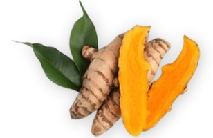 A whole turmeric root and one sliced in half, next to two green leaves.