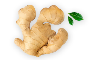 A piece of fresh ginger root with two small green leaves on a dark background.