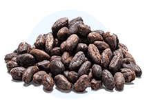 A small pile of dark, roasted cacao beans on a green background.