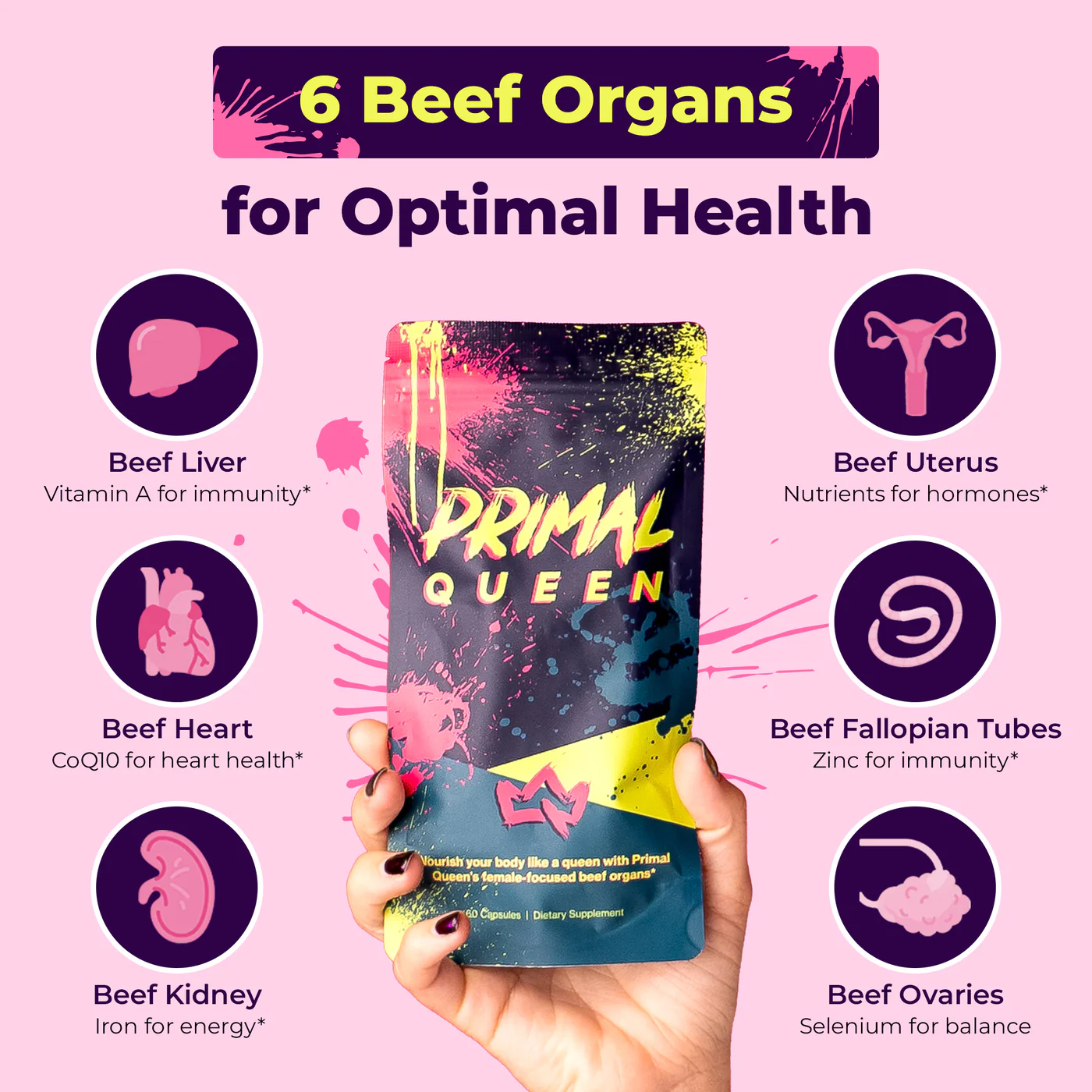 Promotional image for Primal Queen beef organ supplements, highlighting benefits of liver, heart, kidney, uterus, fallopian tubes, ovaries.