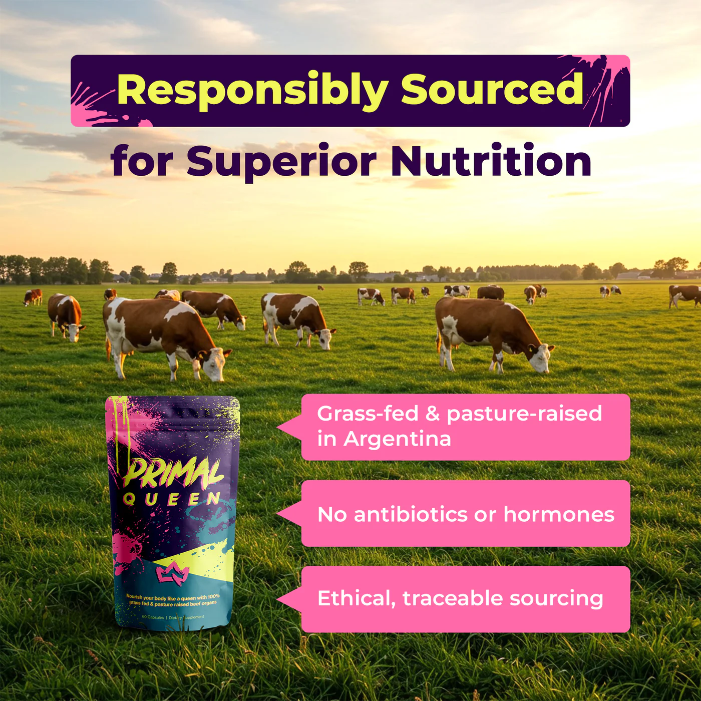 Cows grazing in a field with product packaging and sourcing information.