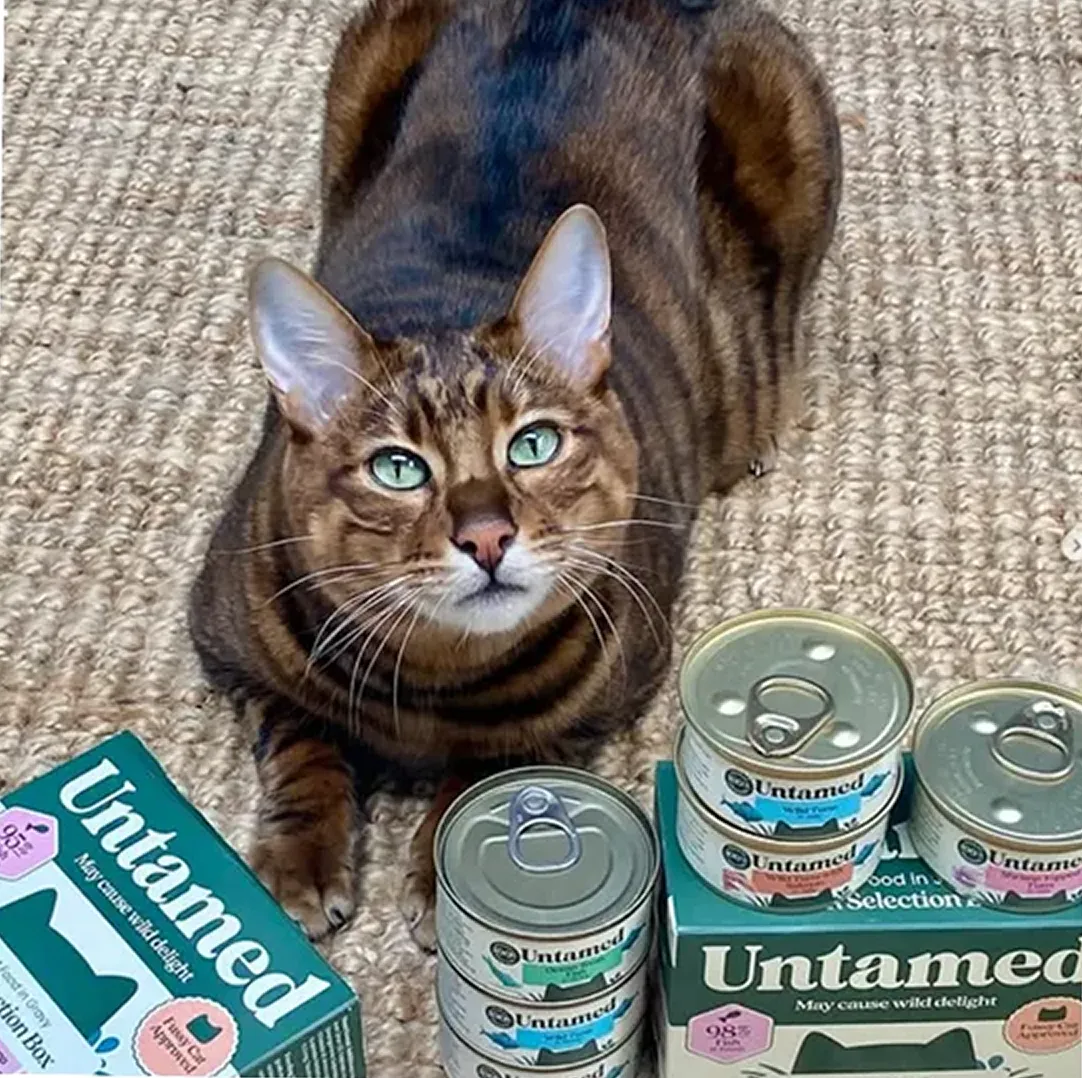 A brown striped cat with green eyes lies on a rug behind several cans and boxes of cat food.