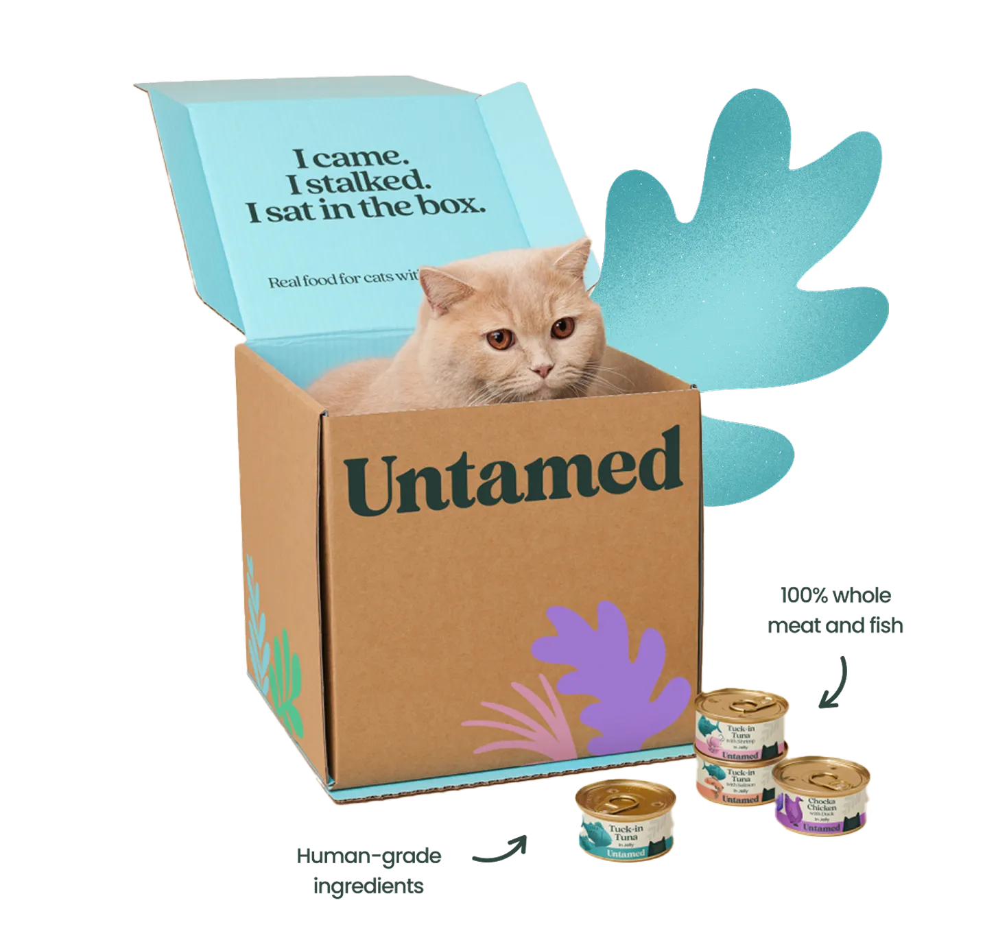 A cat sits in a cardboard box labeled 'Untamed' with three cans of cat food next to it.