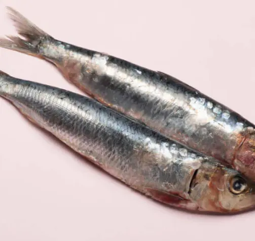 Two raw fish with shiny scales on a light pink background.