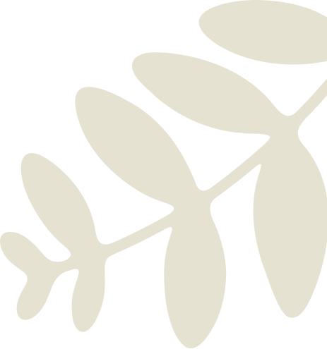 Stylized, beige plant silhouette with rounded leaves on a transparent background.