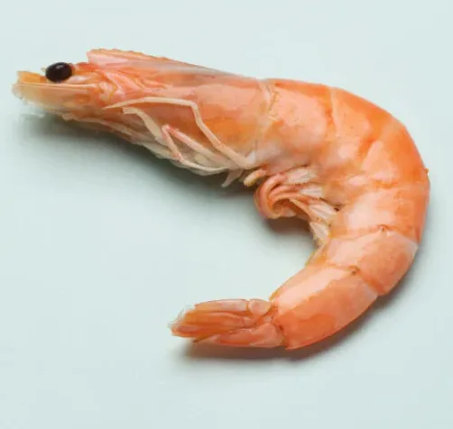 Single cooked shrimp on a light blue background.
