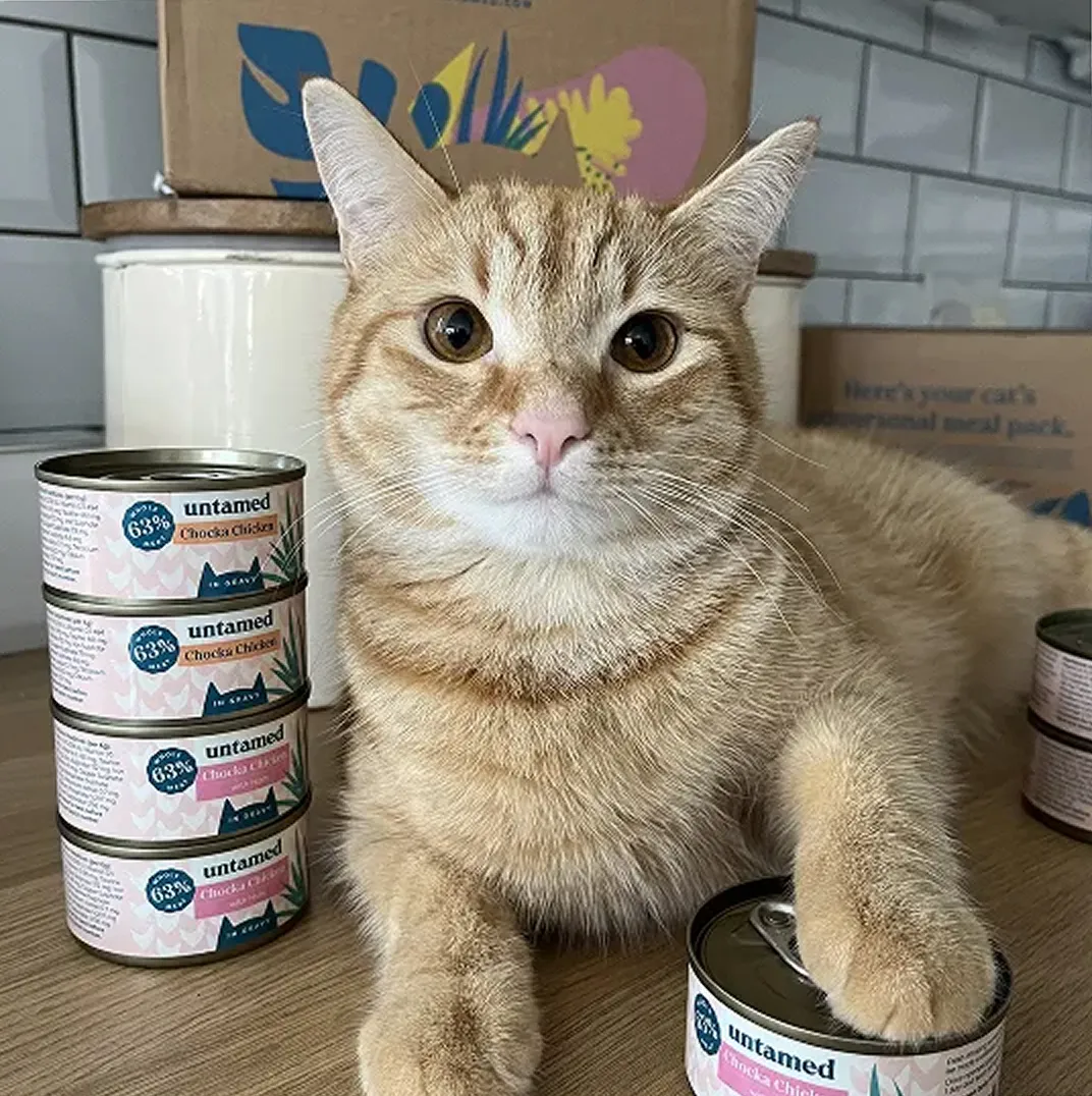 A ginger tabby cat lies on a counter next to several cans of Untamed brand cat food.