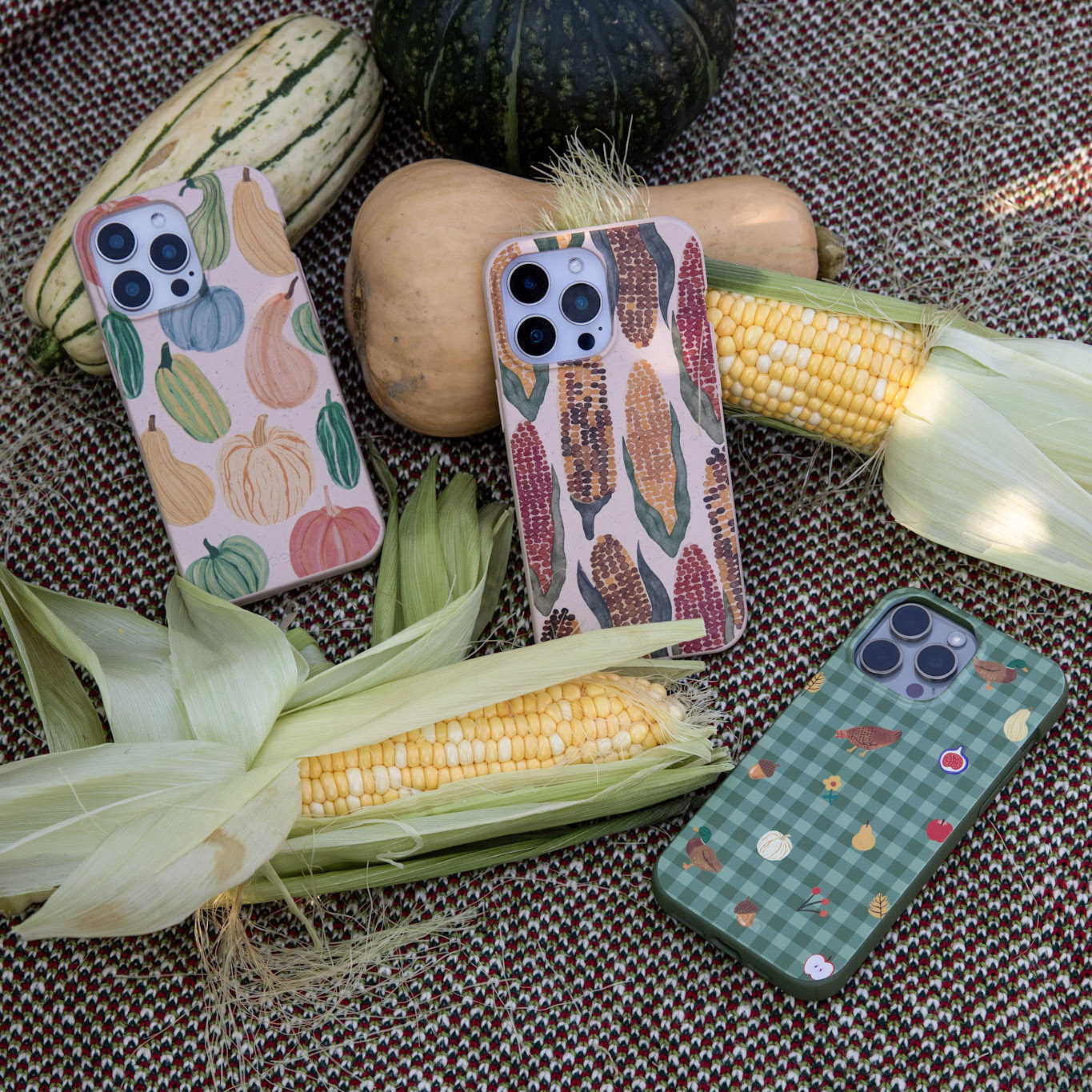 Three iPhones with autumn-themed cases are arranged on a blanket with corn and various squash.