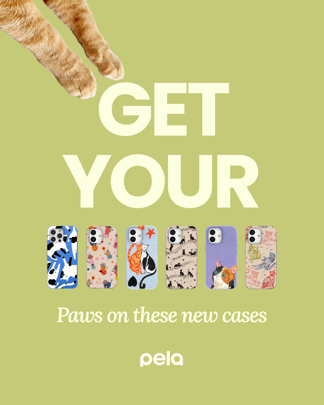 An advertisement for Pela phone cases featuring cat paws and a row of six cat-themed phone cases.