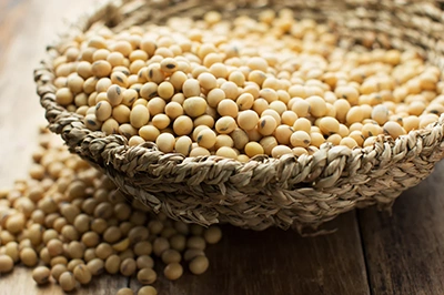 Woven basket filled with soybeans on a wooden surface.