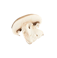 Slice of a mushroom on a white background.
