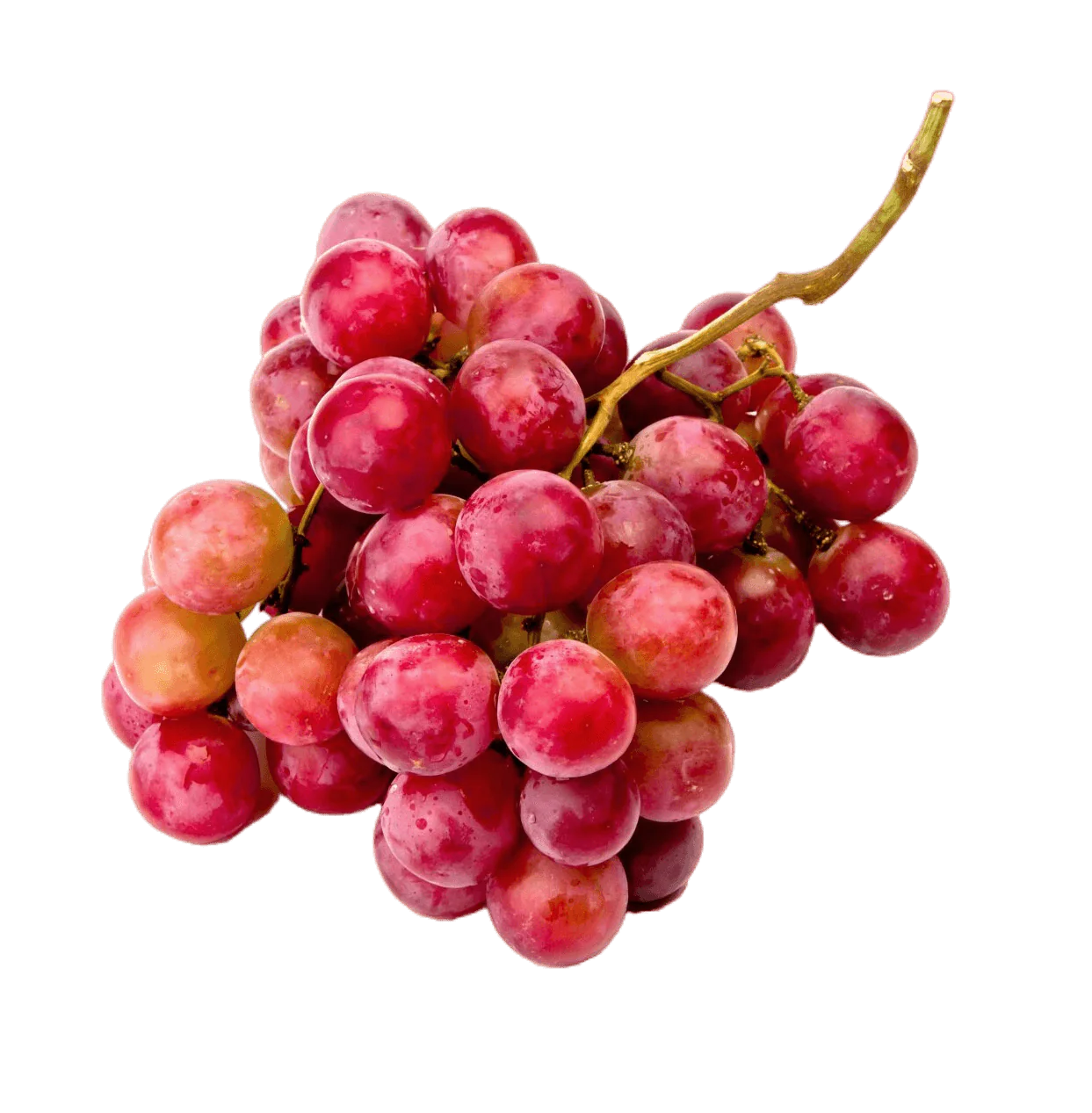 Cluster of red grapes with green background.