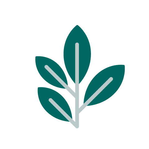 Simple illustration of a green plant with five leaves.