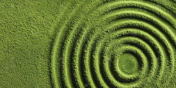An overhead view of concentric circles raked into a fine, green powder, resembling a zen garden.