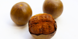 Two whole monk fruits and one broken open, showing the inside, on a white background.