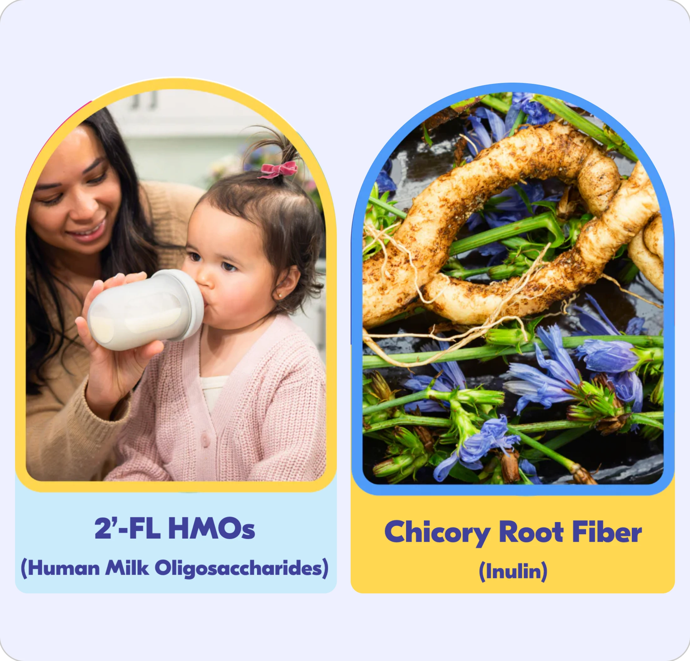A woman helps a child drink from a bottle; chicory root with blue flowers.
