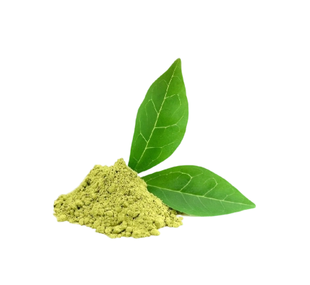 Gymnema Leaf Extract