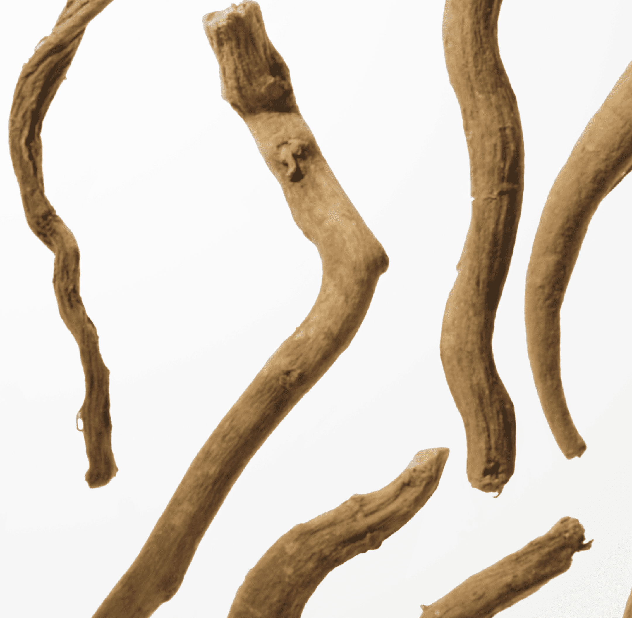 Several curved, brownish sticks against a plain background.