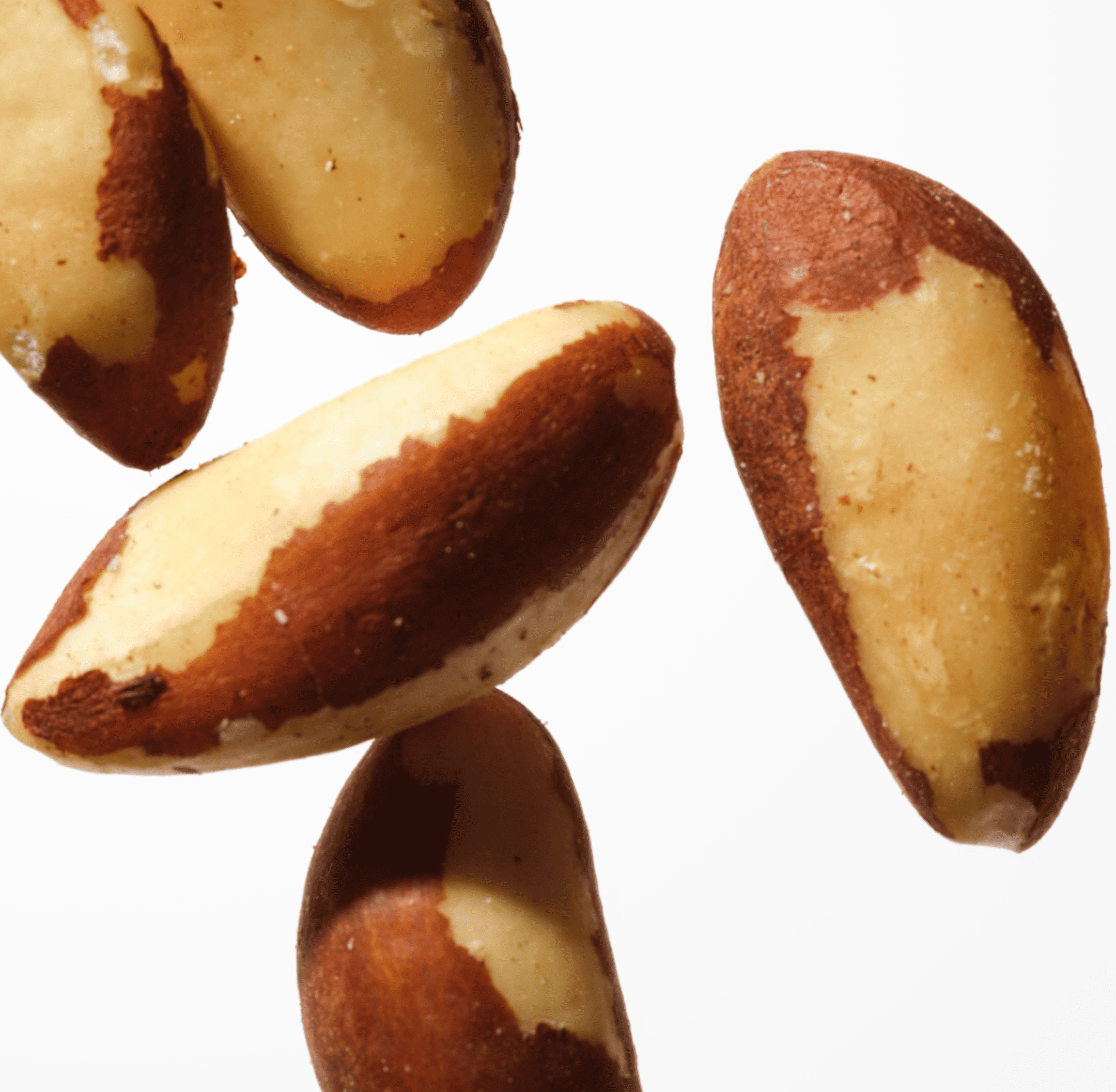 Close-up of several unshelled Brazil nuts on a white background.