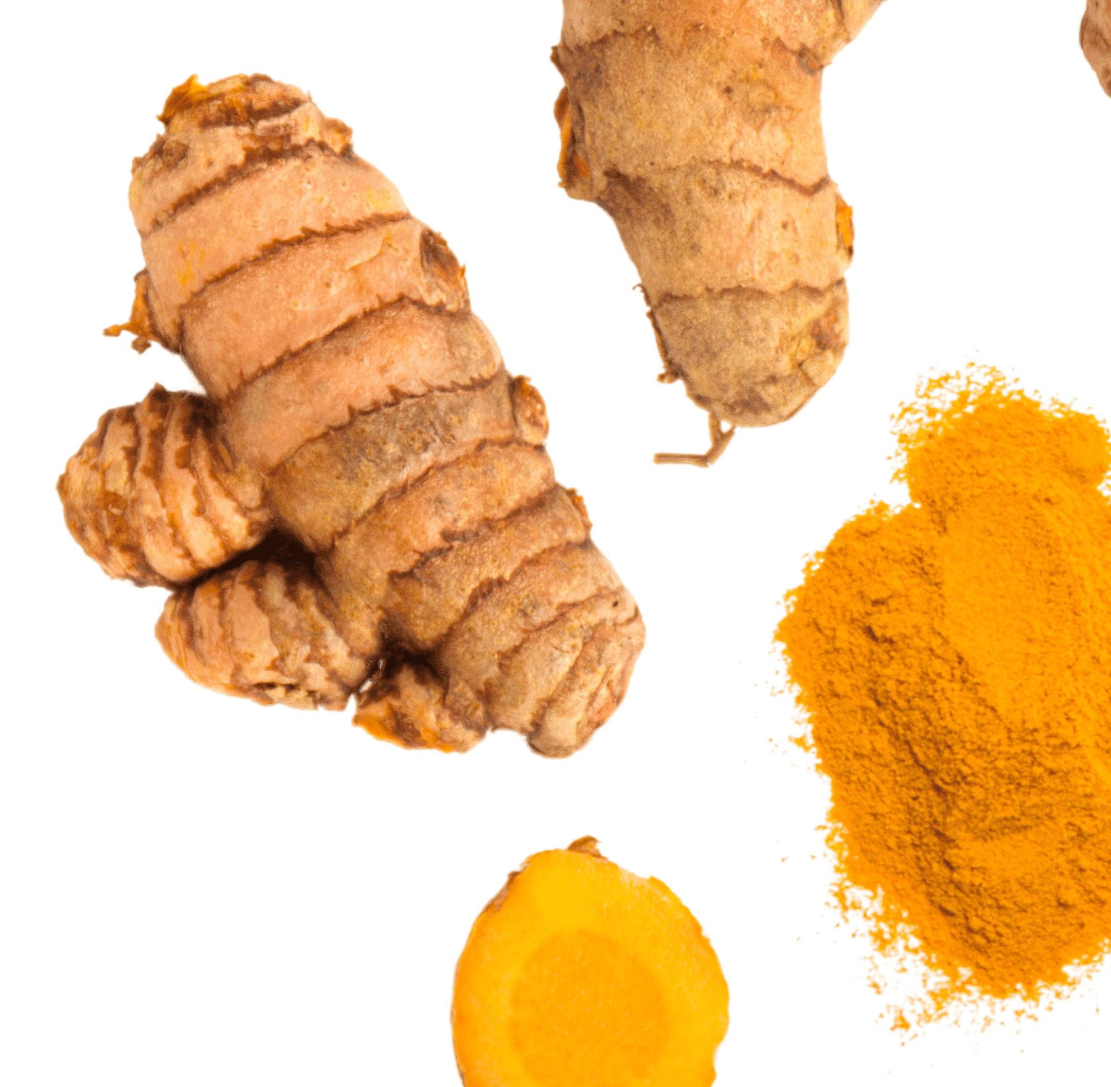 Fresh turmeric roots and ground turmeric on a white background.