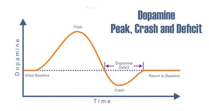 Graph showing dopamine levels over time with peak, crash, and deficit phases.