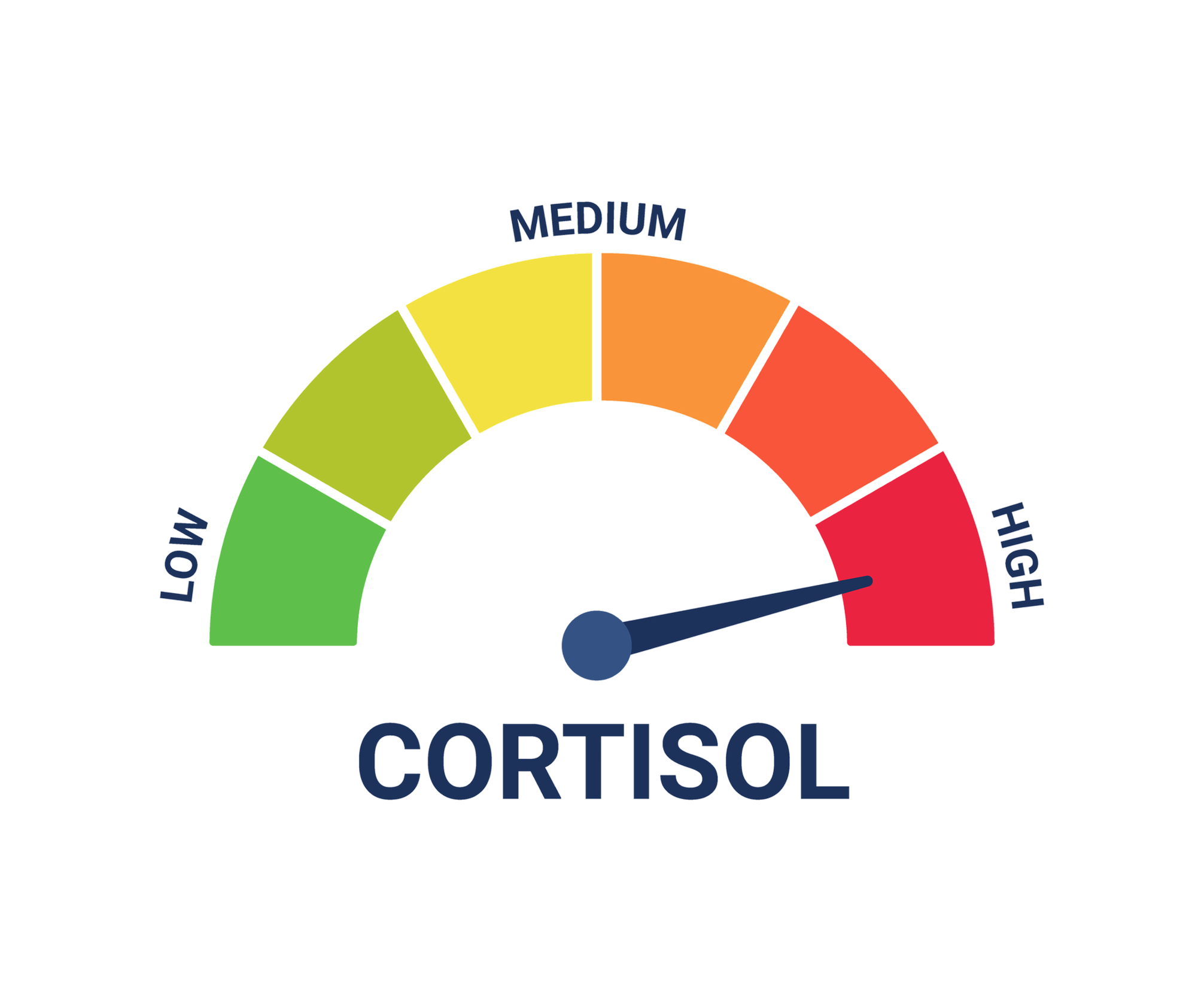 Colorful gauge indicating cortisol levels from low to high.