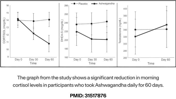 Three graphs showing cortisol, DHEAS, and testosterone levels over 60 days with Ashwagandha and placebo.