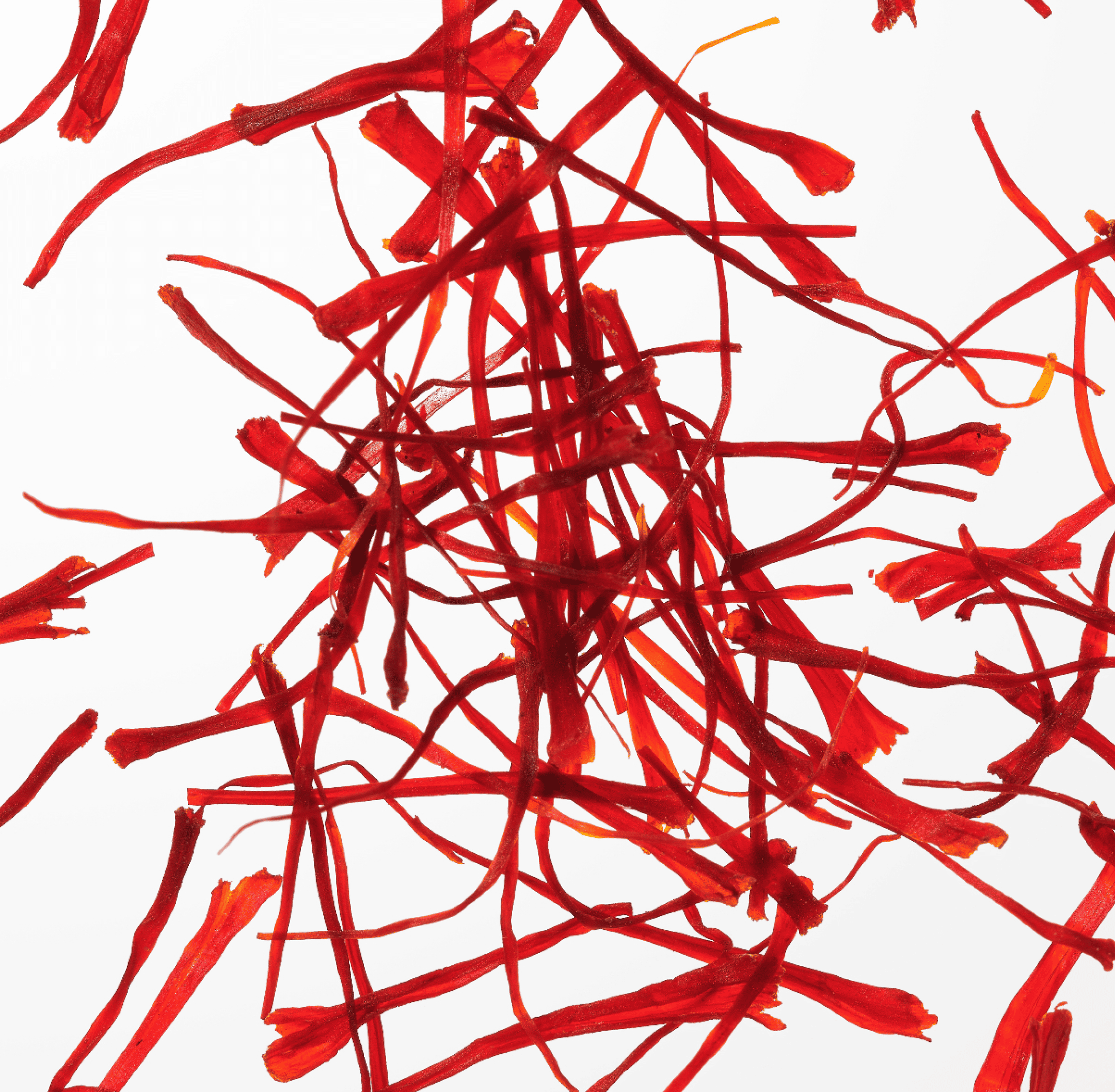 Red saffron threads scattered on a white background.
