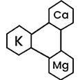 A chemical diagram of hexagons labeled K, Ca, and Mg.
