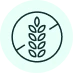 A line-art icon of a stalk of wheat with a line through it, indicating gluten-free.