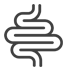 A grey line icon of coiled intestines.