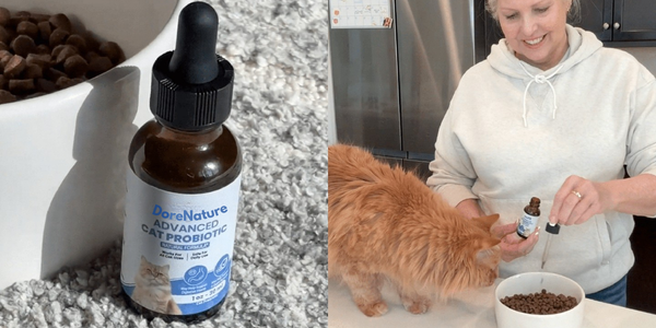 A split image showing a bottle of cat probiotics and a woman adding drops to her cat's food.
