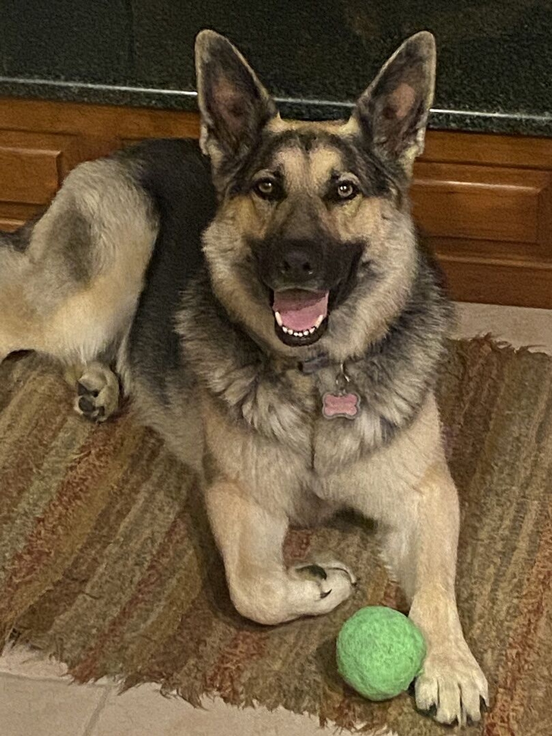A German Shepherd dog lies on a rug with its mouth open, next to a green ball.