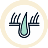 Illustration of a hair follicle with a single hair strand.