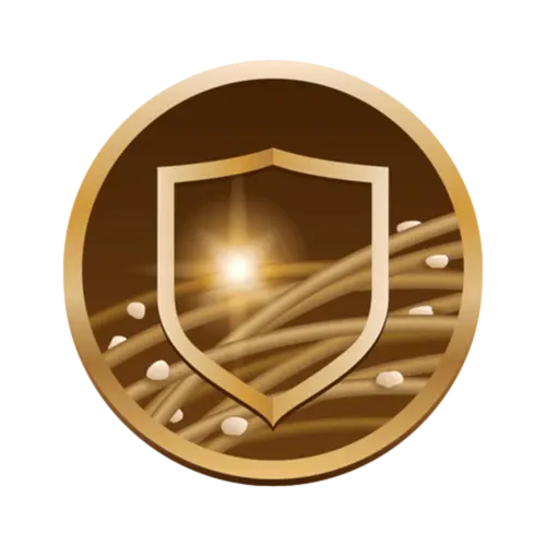 A golden shield emblem with light rays and abstract lines on a brown background.