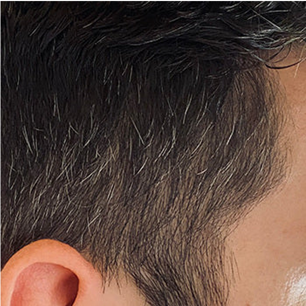 Close-up of a person's ear and dark hair with gray strands.