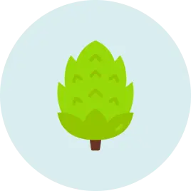 Illustration of a green tree with a brown trunk on a light blue background.