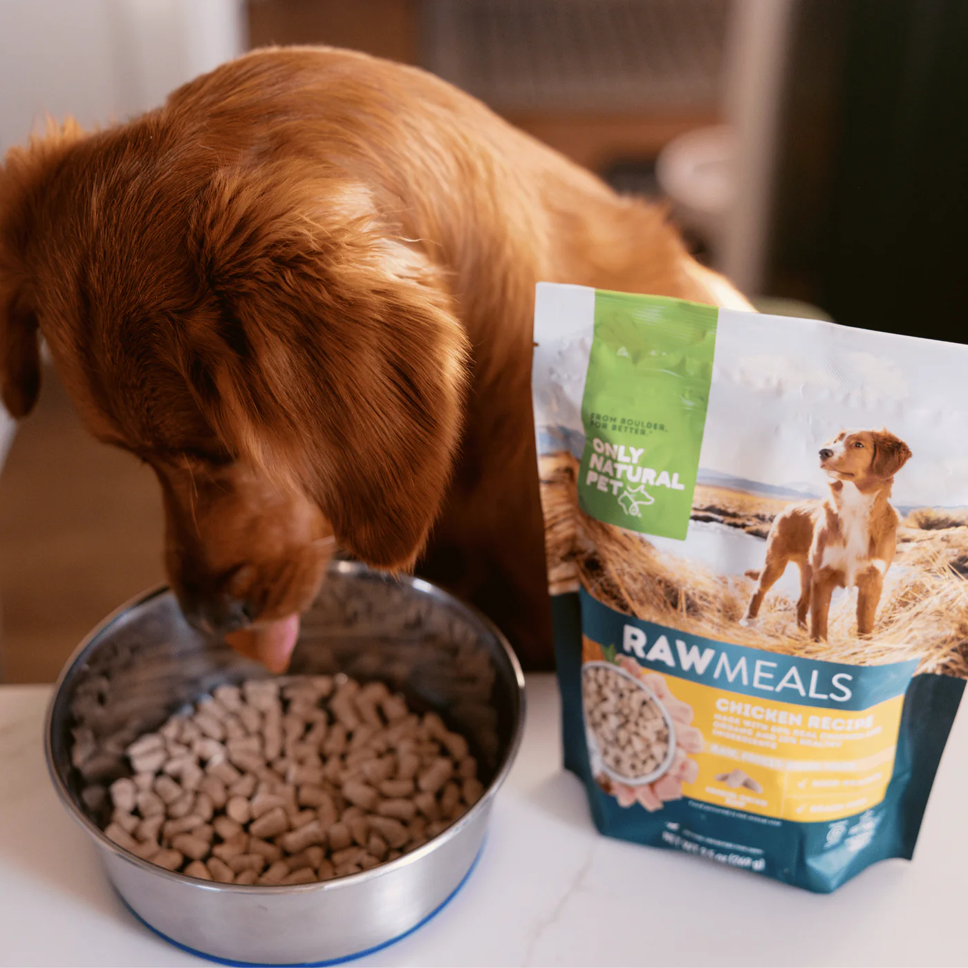 Dog eating from a bowl next to a bag of dog food.