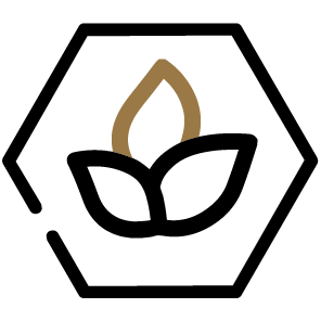 A stylized icon of a sprouting plant inside a black hexagonal outline.