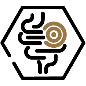 A hexagonal icon depicting stylized intestines with a circular target symbol.