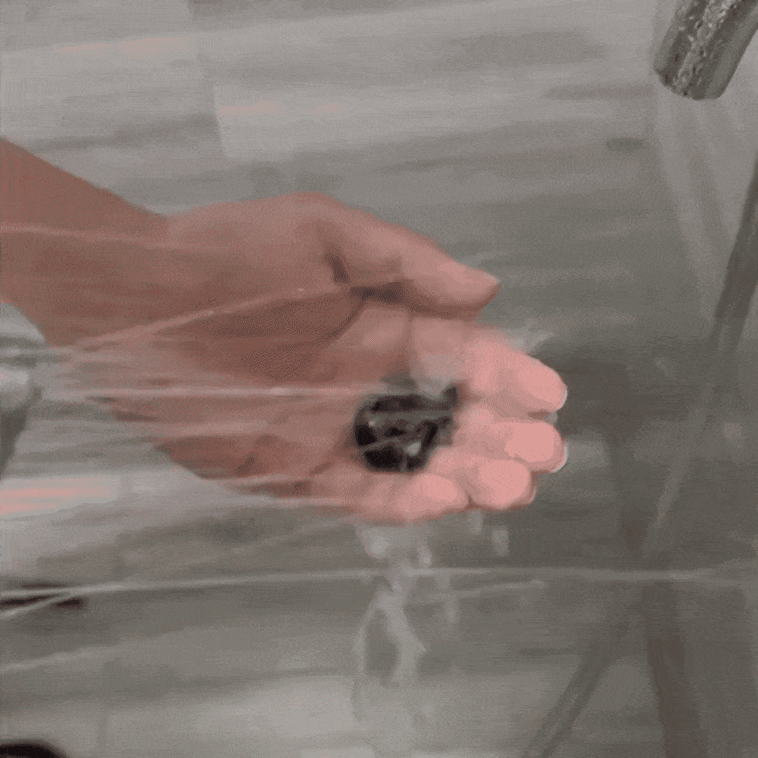 Hand holding a small black and white object under running water.