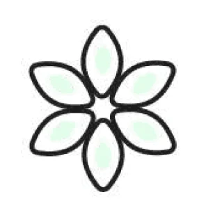 A stylized icon of a flower with six light green petals outlined in black.