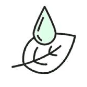 A line icon of a light green droplet hovering above a leaf with black outlines.