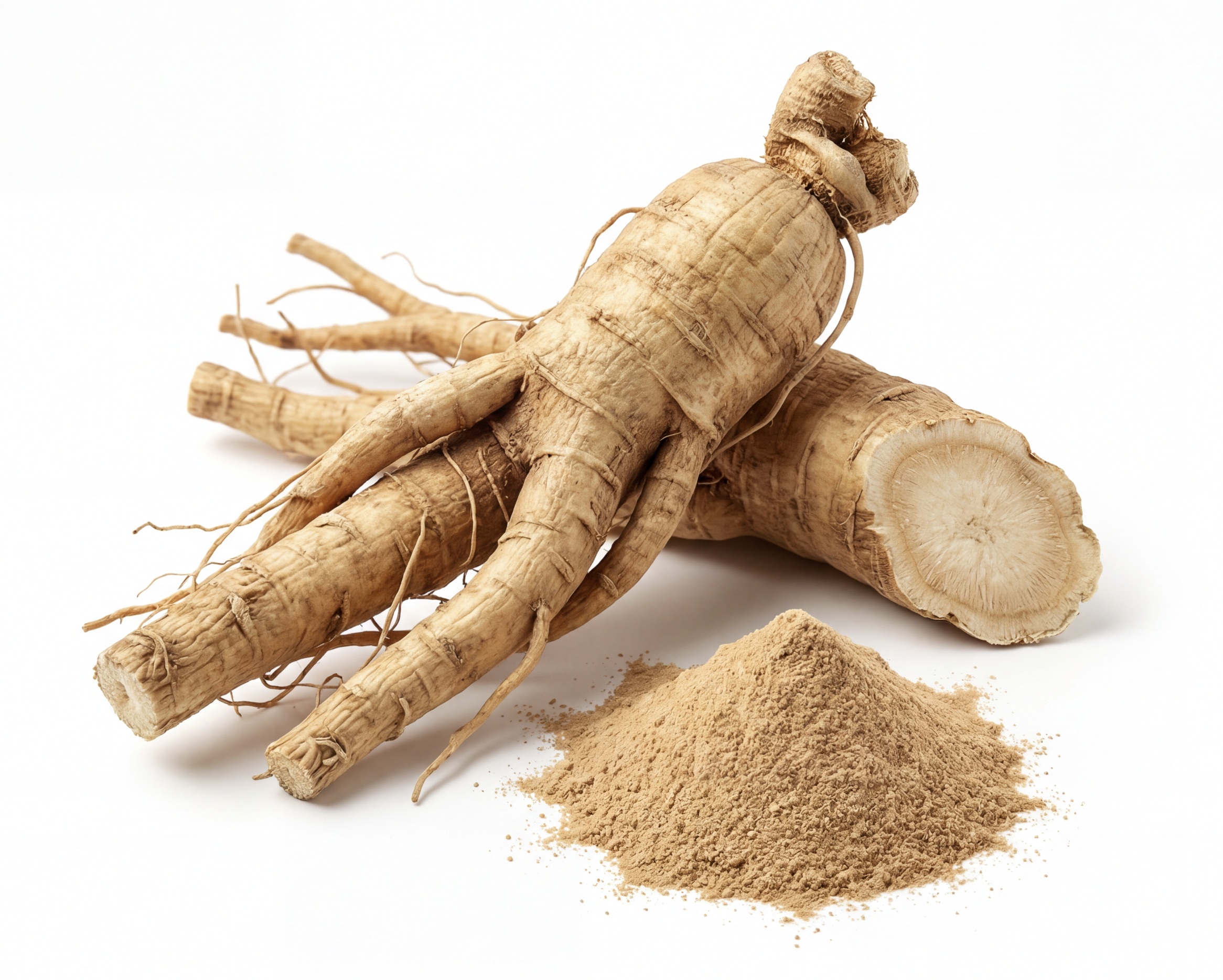 PANAX GINSENG (10% Ginsenosides)