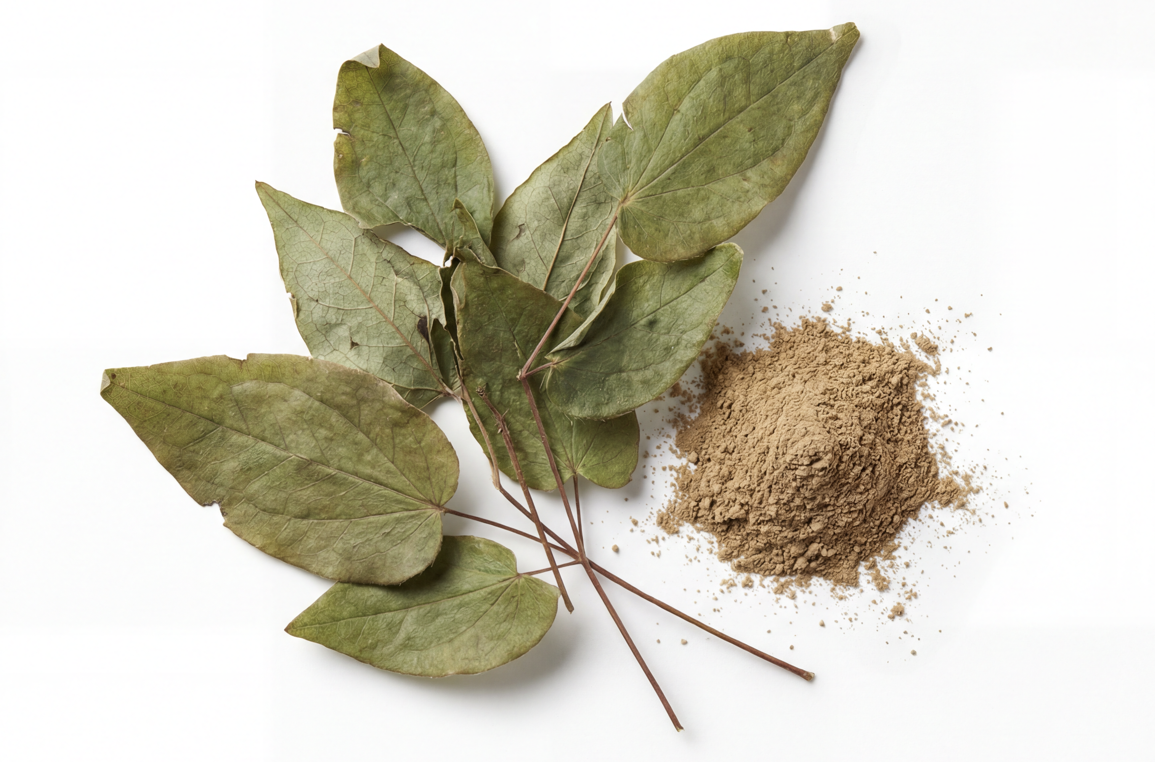 FADOGIA AGRESTIS (5% Total Alkaloids)