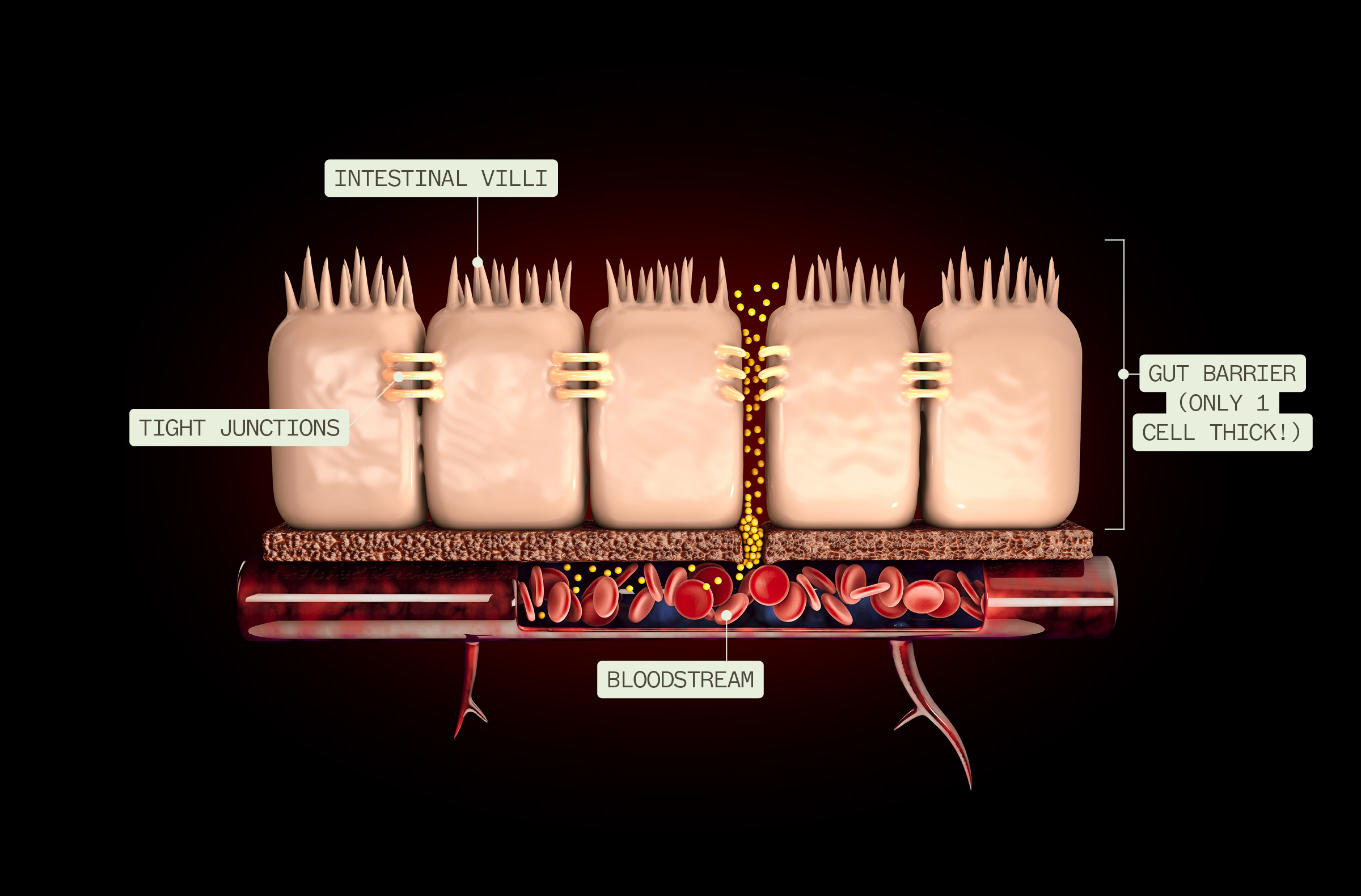 Placeholder image icon with mountains and sun.