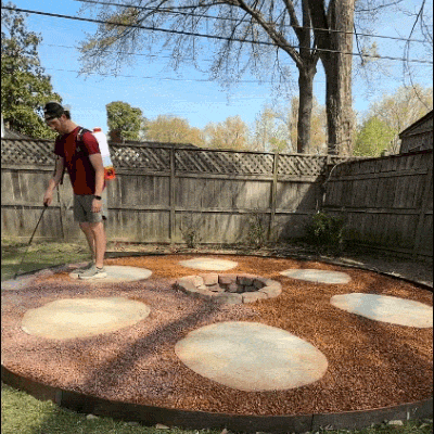 A blurry, light-brown dog runs in a circle on a lawn around a stone fire pit.